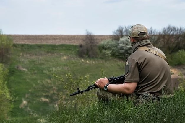 В чем суть паушального взноса и какие преимущества он предоставляет